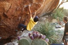 Bouldering in Hueco Tanks on 08/31/2019 with Blue Lizard Climbing and Yoga

Filename: SRM_20190831_1058190.jpg
Aperture: f/4.0
Shutter Speed: 1/125
Body: Canon EOS-1D Mark II
Lens: Canon EF 50mm f/1.8 II