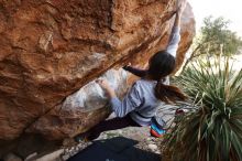 Bouldering in Hueco Tanks on 11/24/2019 with Blue Lizard Climbing and Yoga

Filename: SRM_20191124_1331590.jpg
Aperture: f/4.5
Shutter Speed: 1/250
Body: Canon EOS-1D Mark II
Lens: Canon EF 16-35mm f/2.8 L