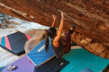 Bouldering in Hueco Tanks on 12/26/2019 with Blue Lizard Climbing and Yoga

Filename: SRM_20191226_1753350.jpg
Aperture: f/3.5
Shutter Speed: 1/250
Body: Canon EOS-1D Mark II
Lens: Canon EF 50mm f/1.8 II