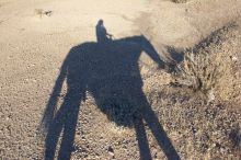 Self portrait on a horse, while horseback riding near Big Bend National Park.

Filename: SRM_20070104_1648502.jpg
Aperture: f/6.3
Shutter Speed: 1/640
Body: Canon EOS 20D
Lens: Canon EF-S 18-55mm f/3.5-5.6