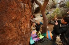 Bouldering in Hueco Tanks on 12/31/2018 with Blue Lizard Climbing and Yoga

Filename: SRM_20181231_1756160.jpg
Aperture: f/2.8
Shutter Speed: 1/125
Body: Canon EOS-1D Mark II
Lens: Canon EF 16-35mm f/2.8 L