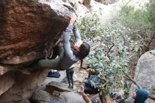 Bouldering in Hueco Tanks on 01/20/2019 with Blue Lizard Climbing and Yoga

Filename: SRM_20190120_1051430.jpg
Aperture: f/5.0
Shutter Speed: 1/160
Body: Canon EOS-1D Mark II
Lens: Canon EF 16-35mm f/2.8 L