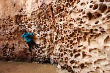 Bouldering in Hueco Tanks on 04/13/2019 with Blue Lizard Climbing and Yoga

Filename: SRM_20190413_1553421.jpg
Aperture: f/4.0
Shutter Speed: 1/100
Body: Canon EOS-1D Mark II
Lens: Canon EF 16-35mm f/2.8 L