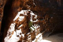 Bouldering in Hueco Tanks on 04/26/2019 with Blue Lizard Climbing and Yoga

Filename: SRM_20190426_1215060.jpg
Aperture: f/5.6
Shutter Speed: 1/320
Body: Canon EOS-1D Mark II
Lens: Canon EF 16-35mm f/2.8 L