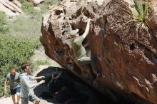 Bouldering in Hueco Tanks on 06/15/2019 with Blue Lizard Climbing and Yoga

Filename: SRM_20190615_1407200.jpg
Aperture: f/4.0
Shutter Speed: 1/640
Body: Canon EOS-1D Mark II
Lens: Canon EF 50mm f/1.8 II