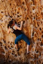 Bouldering in Hueco Tanks on 06/23/2019 with Blue Lizard Climbing and Yoga

Filename: SRM_20190623_1301380.jpg
Aperture: f/4.0
Shutter Speed: 1/160
Body: Canon EOS-1D Mark II
Lens: Canon EF 50mm f/1.8 II