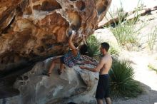 Bouldering in Hueco Tanks on 06/28/2019 with Blue Lizard Climbing and Yoga

Filename: SRM_20190628_1117360.jpg
Aperture: f/4.0
Shutter Speed: 1/320
Body: Canon EOS-1D Mark II
Lens: Canon EF 50mm f/1.8 II