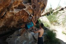 Bouldering in Hueco Tanks on 06/28/2019 with Blue Lizard Climbing and Yoga

Filename: SRM_20190628_1117410.jpg
Aperture: f/4.0
Shutter Speed: 1/500
Body: Canon EOS-1D Mark II
Lens: Canon EF 50mm f/1.8 II