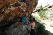 Bouldering in Hueco Tanks on 06/28/2019 with Blue Lizard Climbing and Yoga

Filename: SRM_20190628_1117420.jpg
Aperture: f/4.0
Shutter Speed: 1/500
Body: Canon EOS-1D Mark II
Lens: Canon EF 50mm f/1.8 II