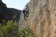 Bouldering in Hueco Tanks on 08/02/2019 with Blue Lizard Climbing and Yoga

Filename: SRM_20190802_1023310.jpg
Aperture: f/5.6
Shutter Speed: 1/400
Body: Canon EOS-1D Mark II
Lens: Canon EF 50mm f/1.8 II