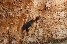 Bouldering in Hueco Tanks on 08/02/2019 with Blue Lizard Climbing and Yoga

Filename: SRM_20190802_1332320.jpg
Aperture: f/4.0
Shutter Speed: 1/200
Body: Canon EOS-1D Mark II
Lens: Canon EF 50mm f/1.8 II