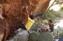 Bouldering in Hueco Tanks on 08/31/2019 with Blue Lizard Climbing and Yoga

Filename: SRM_20190831_1058220.jpg
Aperture: f/4.0
Shutter Speed: 1/160
Body: Canon EOS-1D Mark II
Lens: Canon EF 50mm f/1.8 II