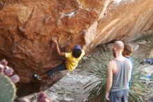 Bouldering in Hueco Tanks on 08/31/2019 with Blue Lizard Climbing and Yoga

Filename: SRM_20190831_1108400.jpg
Aperture: f/3.5
Shutter Speed: 1/200
Body: Canon EOS-1D Mark II
Lens: Canon EF 50mm f/1.8 II