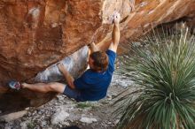 Bouldering in Hueco Tanks on 08/31/2019 with Blue Lizard Climbing and Yoga

Filename: SRM_20190831_1112090.jpg
Aperture: f/3.5
Shutter Speed: 1/250
Body: Canon EOS-1D Mark II
Lens: Canon EF 50mm f/1.8 II