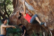 Bouldering in Hueco Tanks on 08/31/2019 with Blue Lizard Climbing and Yoga

Filename: SRM_20190831_1114200.jpg
Aperture: f/4.0
Shutter Speed: 1/500
Body: Canon EOS-1D Mark II
Lens: Canon EF 50mm f/1.8 II