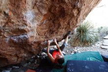 Bouldering in Hueco Tanks on 08/31/2019 with Blue Lizard Climbing and Yoga

Filename: SRM_20190831_1131390.jpg
Aperture: f/4.0
Shutter Speed: 1/250
Body: Canon EOS-1D Mark II
Lens: Canon EF 16-35mm f/2.8 L