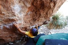 Bouldering in Hueco Tanks on 08/31/2019 with Blue Lizard Climbing and Yoga

Filename: SRM_20190831_1136120.jpg
Aperture: f/4.0
Shutter Speed: 1/200
Body: Canon EOS-1D Mark II
Lens: Canon EF 16-35mm f/2.8 L