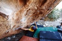 Bouldering in Hueco Tanks on 08/31/2019 with Blue Lizard Climbing and Yoga

Filename: SRM_20190831_1147040.jpg
Aperture: f/4.0
Shutter Speed: 1/250
Body: Canon EOS-1D Mark II
Lens: Canon EF 16-35mm f/2.8 L