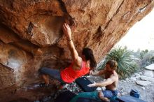 Bouldering in Hueco Tanks on 08/31/2019 with Blue Lizard Climbing and Yoga

Filename: SRM_20190831_1152260.jpg
Aperture: f/4.0
Shutter Speed: 1/400
Body: Canon EOS-1D Mark II
Lens: Canon EF 16-35mm f/2.8 L