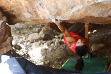 Bouldering in Hueco Tanks on 08/31/2019 with Blue Lizard Climbing and Yoga

Filename: SRM_20190831_1340181.jpg
Aperture: f/2.8
Shutter Speed: 1/400
Body: Canon EOS-1D Mark II
Lens: Canon EF 50mm f/1.8 II