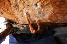 Bouldering in Hueco Tanks on 08/31/2019 with Blue Lizard Climbing and Yoga

Filename: SRM_20190831_1459480.jpg
Aperture: f/4.0
Shutter Speed: 1/200
Body: Canon EOS-1D Mark II
Lens: Canon EF 16-35mm f/2.8 L