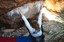 Bouldering in Hueco Tanks on 10/26/2019 with Blue Lizard Climbing and Yoga

Filename: SRM_20191026_1102330.jpg
Aperture: f/4.0
Shutter Speed: 1/500
Body: Canon EOS-1D Mark II
Lens: Canon EF 50mm f/1.8 II