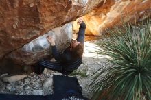 Bouldering in Hueco Tanks on 10/26/2019 with Blue Lizard Climbing and Yoga

Filename: SRM_20191026_1114090.jpg
Aperture: f/4.0
Shutter Speed: 1/400
Body: Canon EOS-1D Mark II
Lens: Canon EF 50mm f/1.8 II