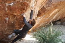 Bouldering in Hueco Tanks on 10/26/2019 with Blue Lizard Climbing and Yoga

Filename: SRM_20191026_1114200.jpg
Aperture: f/4.0
Shutter Speed: 1/250
Body: Canon EOS-1D Mark II
Lens: Canon EF 50mm f/1.8 II