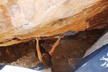 Bouldering in Hueco Tanks on 10/26/2019 with Blue Lizard Climbing and Yoga

Filename: SRM_20191026_1454360.jpg
Aperture: f/5.6
Shutter Speed: 1/100
Body: Canon EOS-1D Mark II
Lens: Canon EF 16-35mm f/2.8 L