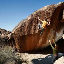 

Filename: SRM_20191029_1237290.jpg
Aperture: f/8.0
Shutter Speed: 1/250
Body: Canon EOS-1D Mark II
Lens: Canon EF 16-35mm f/2.8 L