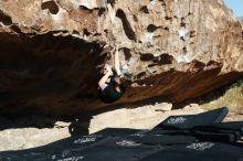 Bouldering in Hueco Tanks on 11/09/2019 with Blue Lizard Climbing and Yoga

Filename: SRM_20191109_1106540.jpg
Aperture: f/4.5
Shutter Speed: 1/1000
Body: Canon EOS-1D Mark II
Lens: Canon EF 50mm f/1.8 II
