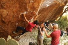 Bouldering in Hueco Tanks on 11/09/2019 with Blue Lizard Climbing and Yoga

Filename: SRM_20191109_1441110.jpg
Aperture: f/4.0
Shutter Speed: 1/250
Body: Canon EOS-1D Mark II
Lens: Canon EF 50mm f/1.8 II