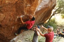 Bouldering in Hueco Tanks on 11/09/2019 with Blue Lizard Climbing and Yoga

Filename: SRM_20191109_1442160.jpg
Aperture: f/4.0
Shutter Speed: 1/250
Body: Canon EOS-1D Mark II
Lens: Canon EF 50mm f/1.8 II