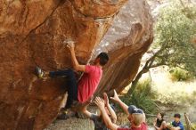 Bouldering in Hueco Tanks on 11/09/2019 with Blue Lizard Climbing and Yoga

Filename: SRM_20191109_1442250.jpg
Aperture: f/4.0
Shutter Speed: 1/320
Body: Canon EOS-1D Mark II
Lens: Canon EF 50mm f/1.8 II