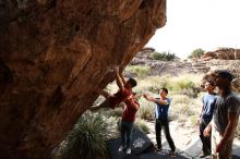 Bouldering in Hueco Tanks on 11/09/2019 with Blue Lizard Climbing and Yoga

Filename: SRM_20191109_1602070.jpg
Aperture: f/5.6
Shutter Speed: 1/500
Body: Canon EOS-1D Mark II
Lens: Canon EF 16-35mm f/2.8 L