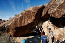 

Filename: SRM_20191109_1157580.jpg
Aperture: f/9.0
Shutter Speed: 1/250
Body: Canon EOS-1D Mark II
Lens: Canon EF 16-35mm f/2.8 L