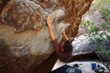 Bouldering in Hueco Tanks on 11/10/2019 with Blue Lizard Climbing and Yoga

Filename: SRM_20191110_1335330.jpg
Aperture: f/4.5
Shutter Speed: 1/250
Body: Canon EOS-1D Mark II
Lens: Canon EF 16-35mm f/2.8 L