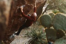 Bouldering in Hueco Tanks on 11/18/2019 with Blue Lizard Climbing and Yoga

Filename: SRM_20191118_1756410.jpg
Aperture: f/2.8
Shutter Speed: 1/250
Body: Canon EOS-1D Mark II
Lens: Canon EF 50mm f/1.8 II