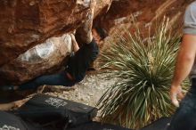 Bouldering in Hueco Tanks on 11/18/2019 with Blue Lizard Climbing and Yoga

Filename: SRM_20191118_1810110.jpg
Aperture: f/2.5
Shutter Speed: 1/250
Body: Canon EOS-1D Mark II
Lens: Canon EF 50mm f/1.8 II