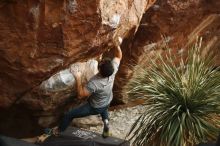 Bouldering in Hueco Tanks on 11/18/2019 with Blue Lizard Climbing and Yoga

Filename: SRM_20191118_1811100.jpg
Aperture: f/2.2
Shutter Speed: 1/250
Body: Canon EOS-1D Mark II
Lens: Canon EF 50mm f/1.8 II