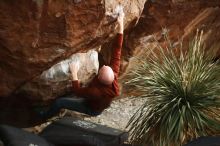 Bouldering in Hueco Tanks on 11/18/2019 with Blue Lizard Climbing and Yoga

Filename: SRM_20191118_1813160.jpg
Aperture: f/2.0
Shutter Speed: 1/250
Body: Canon EOS-1D Mark II
Lens: Canon EF 50mm f/1.8 II