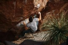 Bouldering in Hueco Tanks on 11/18/2019 with Blue Lizard Climbing and Yoga

Filename: SRM_20191118_1816370.jpg
Aperture: f/1.8
Shutter Speed: 1/200
Body: Canon EOS-1D Mark II
Lens: Canon EF 50mm f/1.8 II