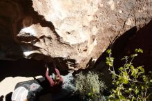 Bouldering in Hueco Tanks on 11/16/2019 with Blue Lizard Climbing and Yoga

Filename: SRM_20191116_1238000.jpg
Aperture: f/8.0
Shutter Speed: 1/500
Body: Canon EOS-1D Mark II
Lens: Canon EF 16-35mm f/2.8 L