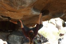 Bouldering in Hueco Tanks on 11/16/2019 with Blue Lizard Climbing and Yoga

Filename: SRM_20191116_1604290.jpg
Aperture: f/4.0
Shutter Speed: 1/400
Body: Canon EOS-1D Mark II
Lens: Canon EF 50mm f/1.8 II