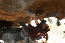 Bouldering in Hueco Tanks on 11/16/2019 with Blue Lizard Climbing and Yoga

Filename: SRM_20191116_1604390.jpg
Aperture: f/4.0
Shutter Speed: 1/400
Body: Canon EOS-1D Mark II
Lens: Canon EF 50mm f/1.8 II