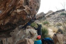 Bouldering in Hueco Tanks on 11/24/2019 with Blue Lizard Climbing and Yoga

Filename: SRM_20191124_1028590.jpg
Aperture: f/8.0
Shutter Speed: 1/250
Body: Canon EOS-1D Mark II
Lens: Canon EF 50mm f/1.8 II