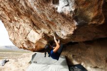 Bouldering in Hueco Tanks on 11/24/2019 with Blue Lizard Climbing and Yoga

Filename: SRM_20191124_1142400.jpg
Aperture: f/4.0
Shutter Speed: 1/500
Body: Canon EOS-1D Mark II
Lens: Canon EF 16-35mm f/2.8 L