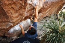 Bouldering in Hueco Tanks on 11/24/2019 with Blue Lizard Climbing and Yoga

Filename: SRM_20191124_1335200.jpg
Aperture: f/4.5
Shutter Speed: 1/250
Body: Canon EOS-1D Mark II
Lens: Canon EF 16-35mm f/2.8 L