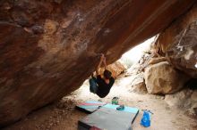 Bouldering in Hueco Tanks on 11/25/2019 with Blue Lizard Climbing and Yoga

Filename: SRM_20191125_1250360.jpg
Aperture: f/5.0
Shutter Speed: 1/250
Body: Canon EOS-1D Mark II
Lens: Canon EF 16-35mm f/2.8 L