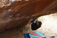 Bouldering in Hueco Tanks on 11/25/2019 with Blue Lizard Climbing and Yoga

Filename: SRM_20191125_1306380.jpg
Aperture: f/4.0
Shutter Speed: 1/320
Body: Canon EOS-1D Mark II
Lens: Canon EF 50mm f/1.8 II